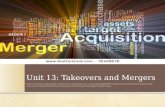 Unit 13   takeovers and mergers
