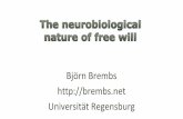 The neurobiological nature of free will