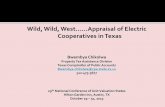 2013 NCUVS Conference_Appraisal of Electric Cooperatives in Texas