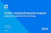 COBOL Analyzer / Enterprise Analyzer