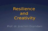 Joachim Duyndam - Resilience and Creativity