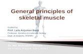 General principles of skeletal muscle