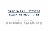 poster_hair graying