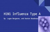 H1 n1 influenza type a