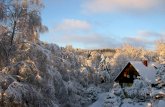 Amazing Winter Photography Part 2