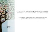 EEB 321 Community Ecology: phylogenetics lecture