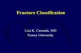 G06 fracture classification