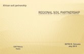 African soil partnership REGIONAL SOIL PARTNERSHIP