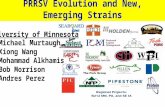 Dr. Mike Murtaugh - PRRS '174' - What are we learning about PRRSV evolution and characterization of new emerging strains of PRRSV?