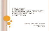 Coworker Discretionary Support: The Meaning of a Construct