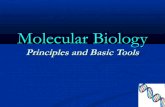 Lecture 1 basic molecular biology