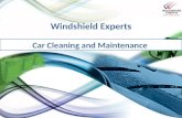 Car cleaning and maintenance