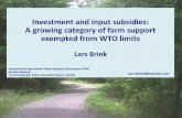Investment and input subsidies: a growing category of farm support exempted from WTO limits
