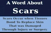 A segment on scars