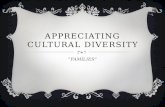 Appreciating cultural diversity class project