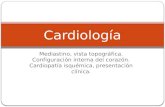 Cardiología instituto n2