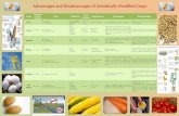 Advantages and disadvantages of GM crops
