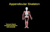 Appendicular skeleton stds (1)