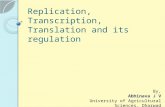 Replication, transcription, translation and its regulation