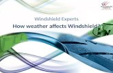Weather affects on windshield