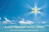 Thermal Energy - Corporate Presentation - June 2015
