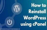 How To Reinstall WordPress From Scratch Using cPanel