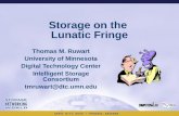 Storage on the Lunatic Fringe