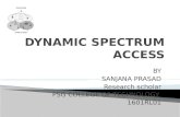 Dynamic spectrum access