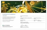 revit advanced certificate