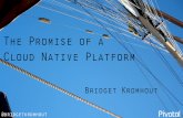 The Promise of a Cloud Native Platform (20160712)