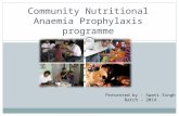 National nutritional anemia prophylaxis