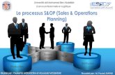 S&OP Demande chaine management ( Sales and opérations planning)