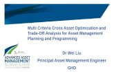 Optimisation and Tradeoff Analysis Tool for Asset Management Planning and Programming