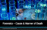 Forensics   cause & manner of   death