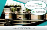 Process Flow Analysis, E-learning, Pathway Group, Lean Courses