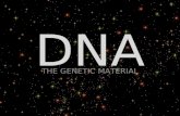 DNA: BOOK OF LIFE