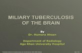 Miliary tuberclosis of the brian imaging