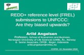 REDD+ reference level (FREL) submissions to UNFCCC: Are they biased upwards?