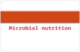 Microbial nutrition