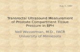 Transrectal Ultrasound Measurement of Prostate Compartment Tissue Pressure in BPH
