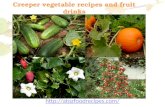 Creeper Vegetable Recipes and Fruit Drinks
