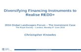 Diversifying financing instruments to realise REDD+