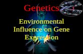 environmental influence on gene expression