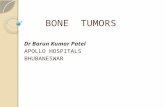 Bone  tumors introduction and general principles
