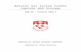 Natural Gas System Carbon Capture and Storage