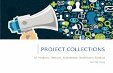 Project Collections_Phoebe Chang_public view