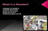 Natural disaster preparedness