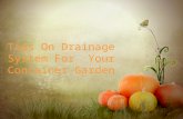 Drainage Tips for Container Gardening outdoor