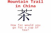 China Mountain Trail