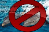 Ban swim with the dolphin programs